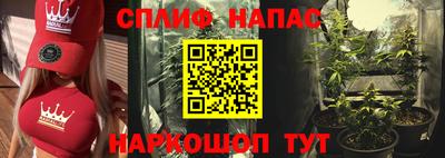 apvp Пугачёв