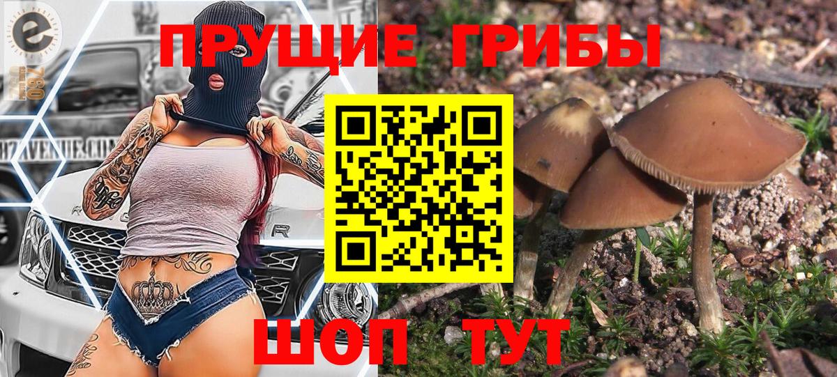 Ростов Великий  Псилоцибиновые грибы GOLDEN TEACHER  где найти наркотики  Вход с VPN 