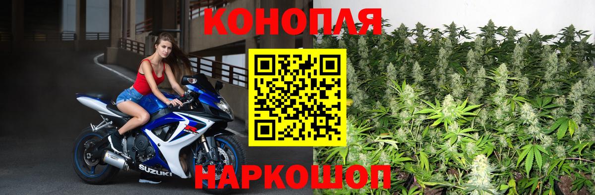 Бошки марихуана конопля Ростов Великий